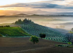 organize a travel in tuscany with us