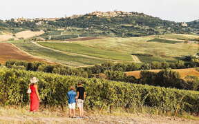 Similar item picture: Montepulciano,  Pienza and Val d'Orcia tour