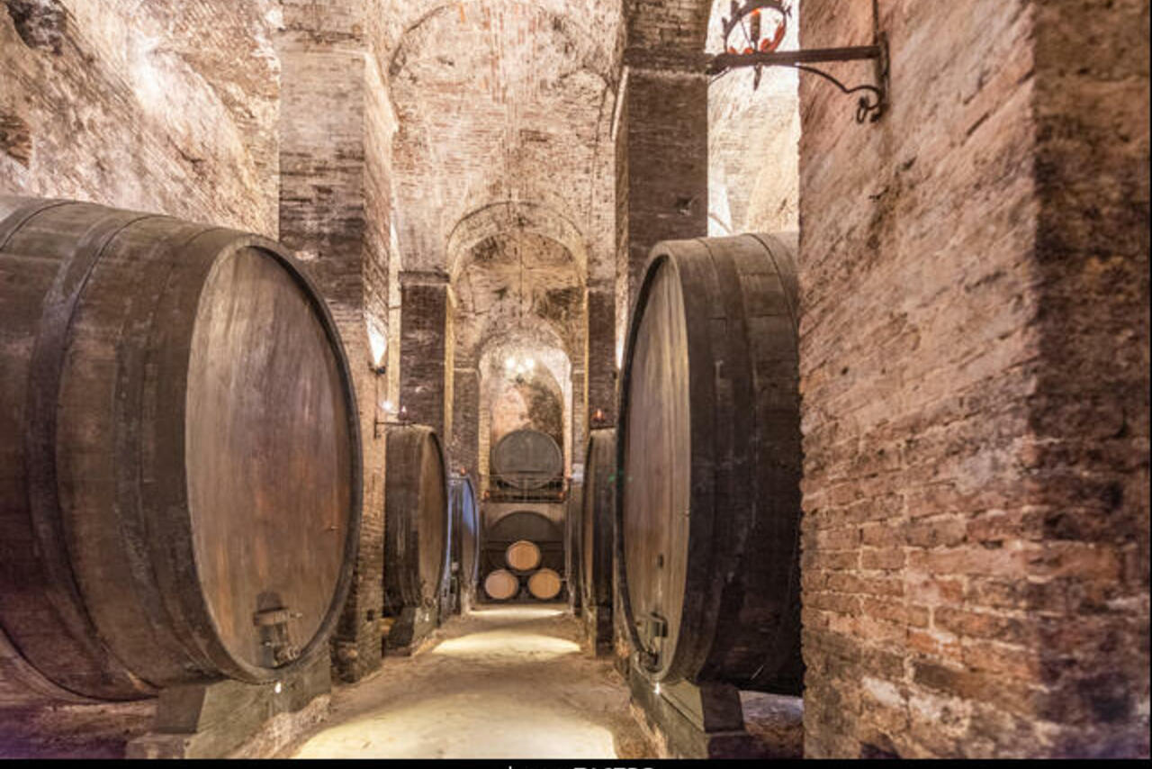 Montepulciano,  Pienza and Val d'Orcia tour 1