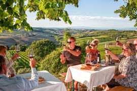 Similar item picture: Chianti Wine experience at sunset: pairing wine dinner with truffle tasting