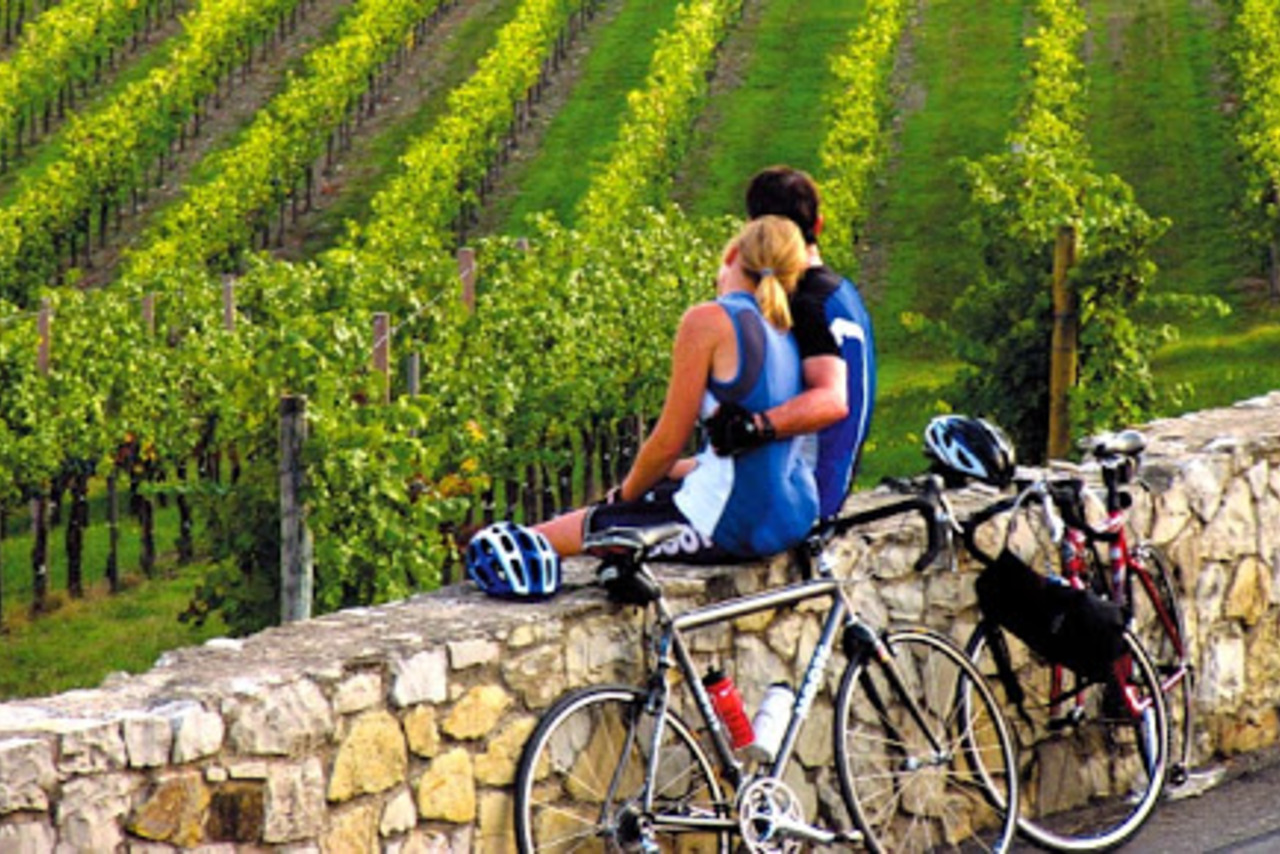 Bike tour and Chianti Wine experience 3