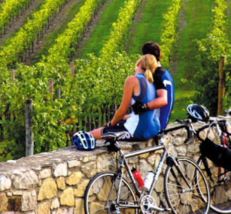 Bike tour and Chianti Wine experience 3