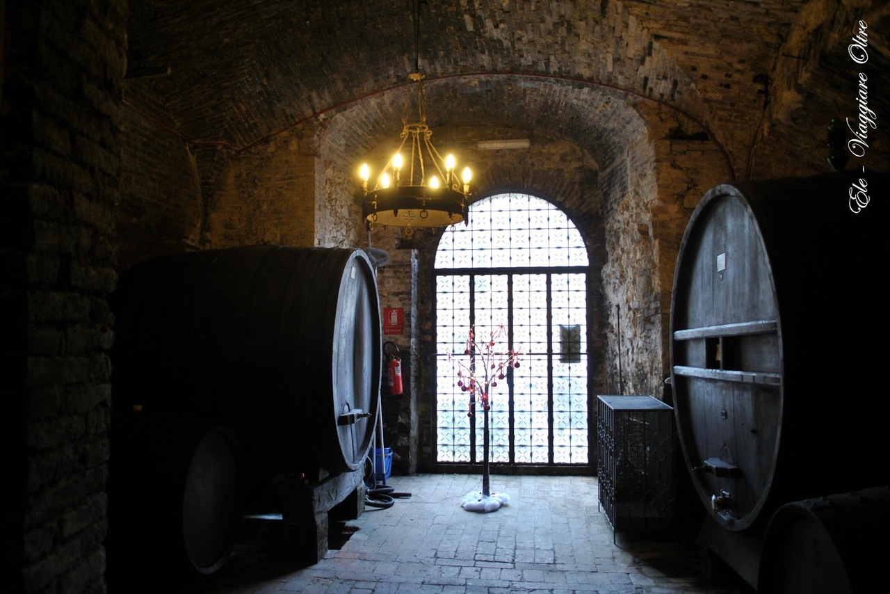 Montepulciano,  Pienza and Val d'Orcia tour 6